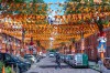 Marktweg Street in The Hague, Netherlands, is decorated ahead of the start of the soccer World Cup, Tuesday, June 9, 2026. (AP Photo/Patrick Post)