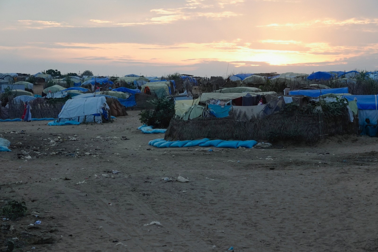 MSF Report Details 59 Abuse Allegations in Chad Camps; 18 Staff Dismissed