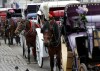 FILE - Horses and carriages wait for customers on Oct. 23, 2013, near Central Park in New York. (AP Photo/Seth Wenig, File)