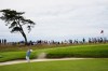 William Mouw hits from the bunker on the 13th hole during the second round of the U.S. Open golf tournament at Shinnecock Hills Golf Club in Southampton, N.Y., Friday, June 19, 2026.(AP Photo/David J. Phillip)