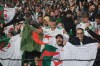 Algeria fans cheer their team during the international friendly soccer match between Netherlands and Algeria in Rotterdam, Netherlands, Wednesday, June 3, 2026. (AP Photo/ Patrick Post)