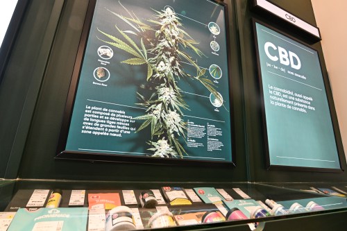 Displays are pictured at an provincially operated cannabis store in Quebec City, Friday, June 19, 2026. THE CANADIAN PRESS/Jacques Boissinot