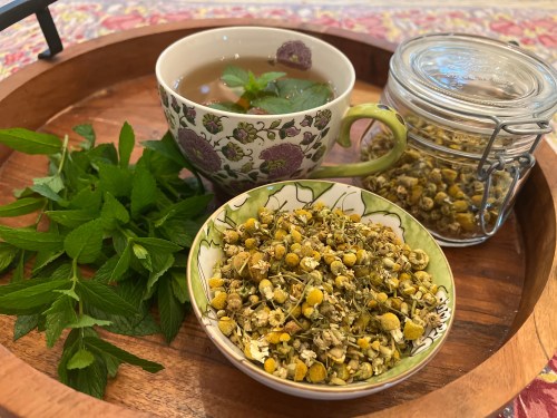 Freshly harvested spearmint leaves, dried chamomile flowers, and a cup of herbal tea are displayed on Long Island, N.Y. on June 15, 2026. (Jessica Damiano via AP)