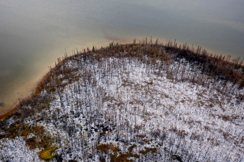 Trees that had been burnt in a recent wildfire near Webequie, Ont., on Friday, Oct. 24, 2025. THE CANADIAN PRESS/Christopher Katsarov