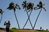 FILE - Stewart Cink hits from the bunker on the 16th green during the final round of the Sony Open golf event, Sunday, Jan. 14, 2024, at Waialae Country Club in Honolulu. (AP Photo/Matt York,File)