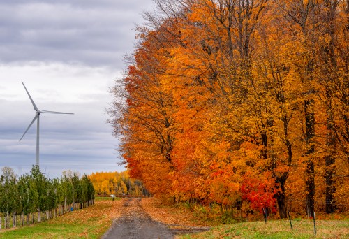 A wind turbine is seen on Kruger Energy's KEMONT Monteregie wind farm on the South Shore of Montreal on Friday, Oct. 24, 2025.  THE CANADIAN PRESS/Christinne Muschi