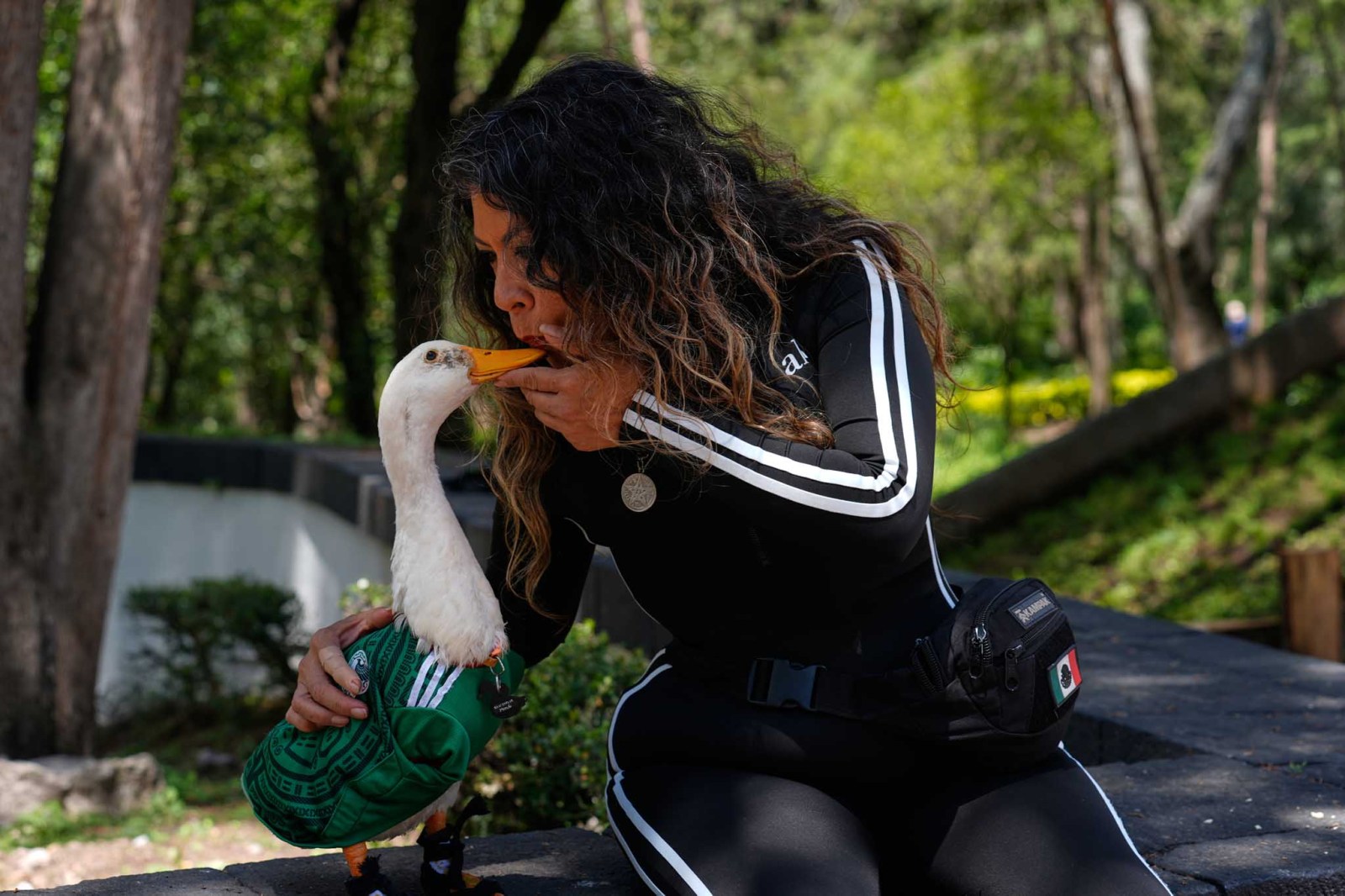 Duck in Mexican team colors draws online attention during World Cup match