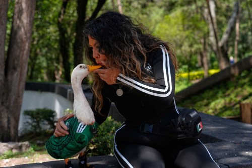 Carla Gomez blows on to her duck Merlin, dressed in a Mexico national soccer team jersey, at a park in Mexico City, during the World Cup, Monday, June 15, 2026. (AP Photo/Marco Ugarte)