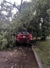 Storm insurance claims could set Manitoba record