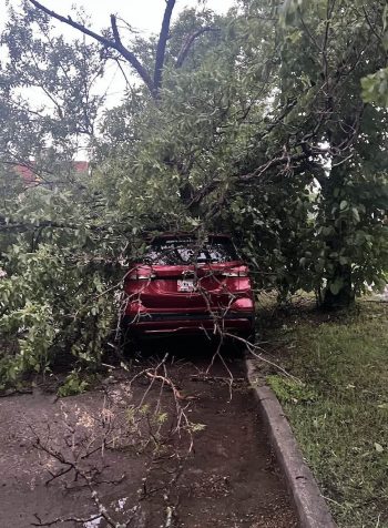 Storm insurance claims could set Manitoba record