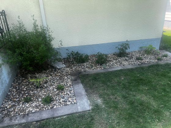 After: The side garden transformed. (Erin Lebar)