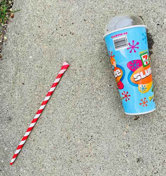 Winnipeg Still Life (Jen Zoratti)