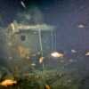 Portholes on the Quest shipwreck, shown in this undated handout photo, helped identify it as Ernest Shackleton's ship. THE CANADIAN PRESS/Handout — Voyis, Canadian Geographic (Mandatory Credit)