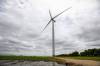 MIKAELA MACKENZIE / FREE PRESS
                                Wind turbines in southern Manitoba.