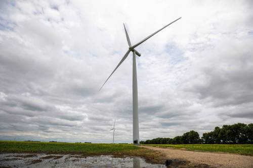 MIKAELA MACKENZIE / FREE PRESS
                                Wind turbines in southern Manitoba.