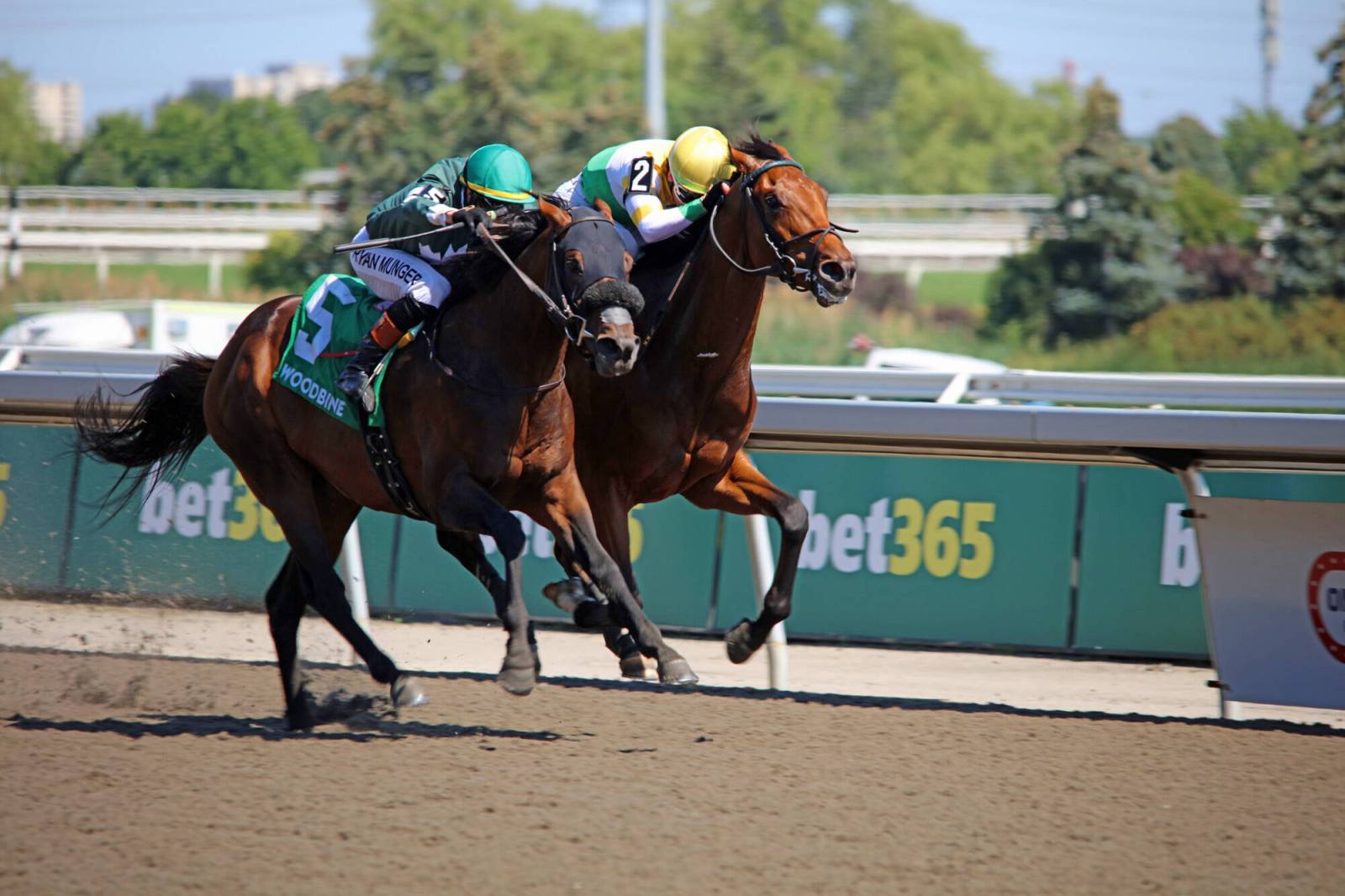 Manitoba-bred Brachetto stakes his claim as King’s Plate favourite