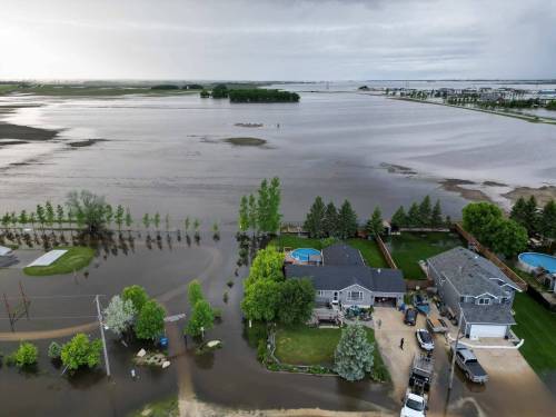 SUPPLIED
                                Campbell estimates his fields won&rsquo;t return to normal for another four or five years.