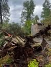 Broken or uprooted trees fell on Darren James&rsquo; trailer when a severe thunderstorm hit Whispering Pines seasonal campground in Whiteshell Provincial Park Monday. (Supplied)