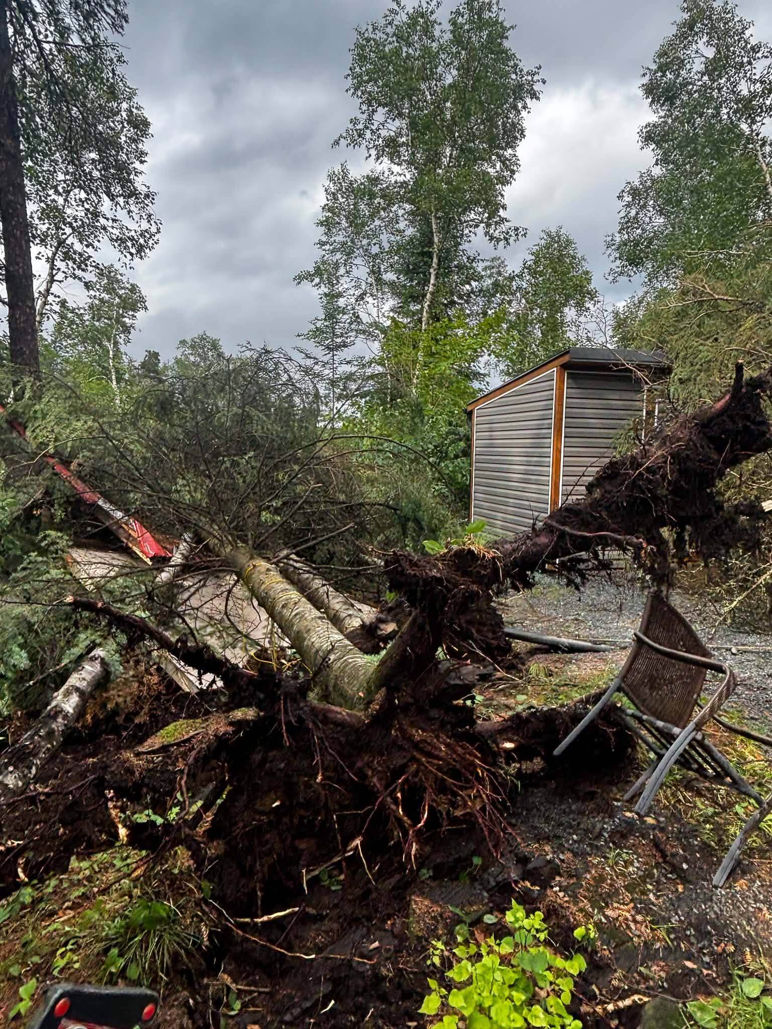 Cleanup ‘staggering' as severe storm slams Whiteshell, Kenora