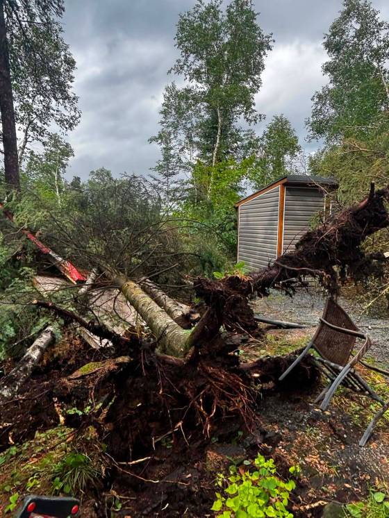 Broken or uprooted trees fell on Darren James’ trailer when a severe thunderstorm hit Whispering Pines seasonal campground in Whiteshell Provincial Park Monday. (Supplied)