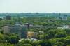 MIKAELA MACKENZIE / FREE PRESS FILES
                                The tree canopy looking towards Osborne Village, as seen from the Woodsworth Building, in Winnipeg on Wednesday, Aug. 19, 2020. For Gabrielle Piche. Winnipeg Free Press 2020.