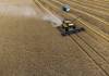 JEFF MCINTOSH / THE CANADIAN PRESS FILES 
                                A wheat crop is harvested near Cremona, Alta. Canada is one of the world&rsquo;s largest exporters of wheat.