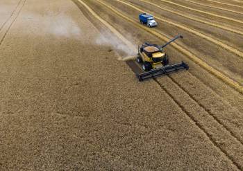 JEFF MCINTOSH / THE CANADIAN PRESS FILES 
                                A wheat crop is harvested near Cremona, Alta. Canada is one of the world&rsquo;s largest exporters of wheat.