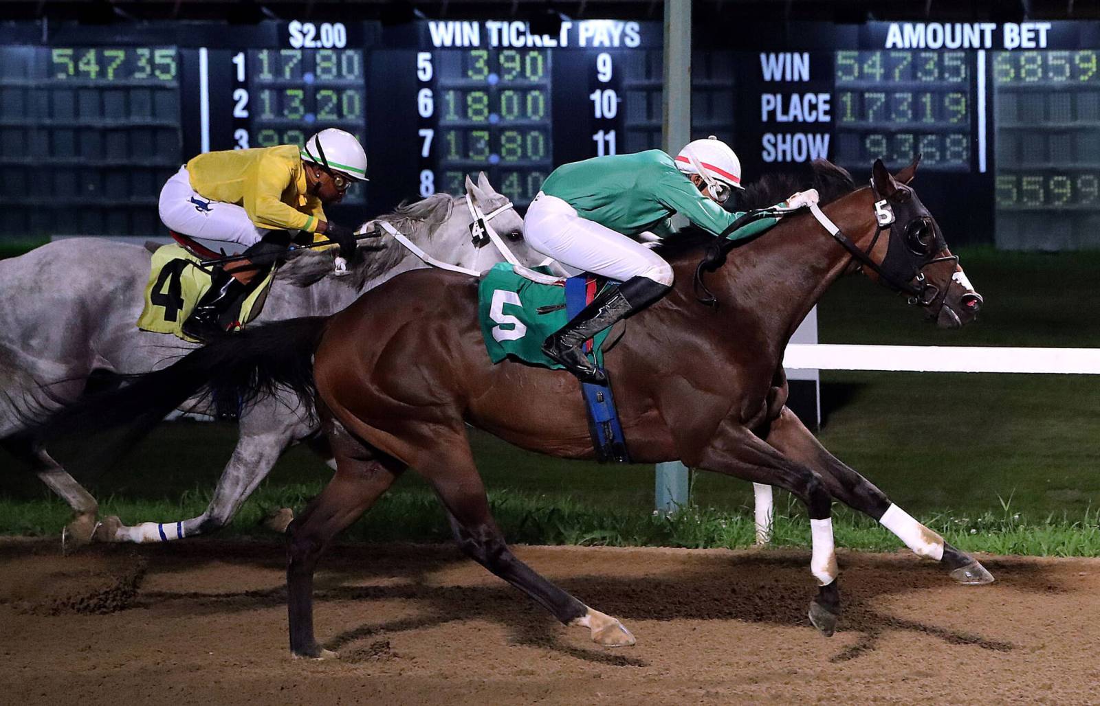 Balroop, Whitehall neck and neck for 2026 Downs riding title