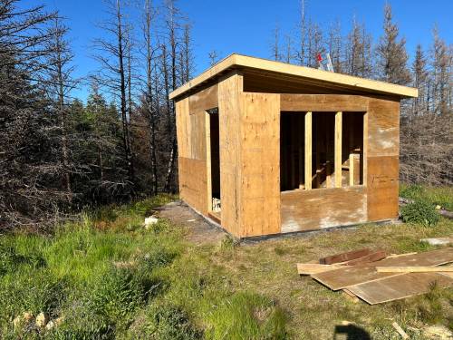 Russell Wangersky / Free Press
                                The new shed, in mid-construction.