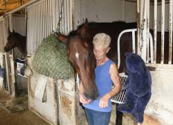 GEORGE WILLIAMS
                                Trainer Cindy Krasner with her recent Derby Trial winner Rally Ralis.