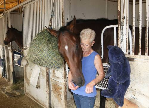 GEORGE WILLIAMS
                                Trainer Cindy Krasner with her recent Derby Trial winner Rally Ralis.
