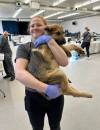 FACEBOOK 
                                Amanda Nobiss in Sandy Bay in April 2026 during a spay and neutering event. Her remains were found on Sandy Bay Ojibway First Nation July 17 after an apparent dog attack.