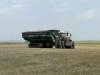 Laura Rance-Unger 
                                This tractor and grain cart have no driver. The unit is operated remotely and is called to the combine when it is time to unload the hopper.