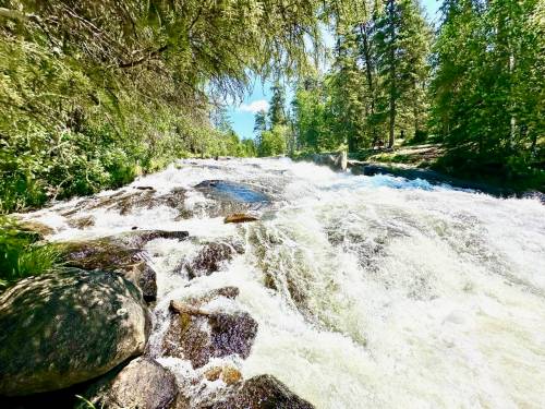 Photo by Gord Mackintosh
                                Rushing River Provincial Park&rsquo;s roadside rapids.