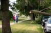 MIKAELA MACKENZIE / FREE PRESS
                                Neighbours check out storm damage on Stewart Street.