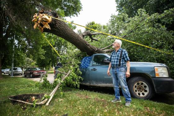 A tree crushed Jake Falk’s truck. (Mikaela MacKenzie / Free Press)