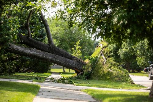 Storm damage on Cullen Drive on Thursday (Mikaela MacKenzie / Free Press)