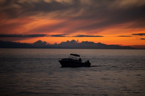 Sport fishermen on a small boat are silhouetted while fishing for salmon in the waters off Ambleside Beach at sunset in West Vancouver, B.C. on Saturday, August 13, 2022. THE CANADIAN PRESS/Darryl Dyck