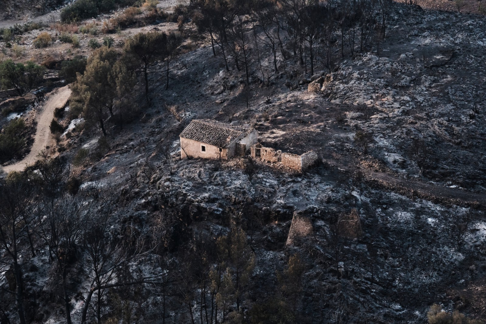 Wildfire Near Almeria Kills 12 and Leaves Nearly 20 Unaccounted For