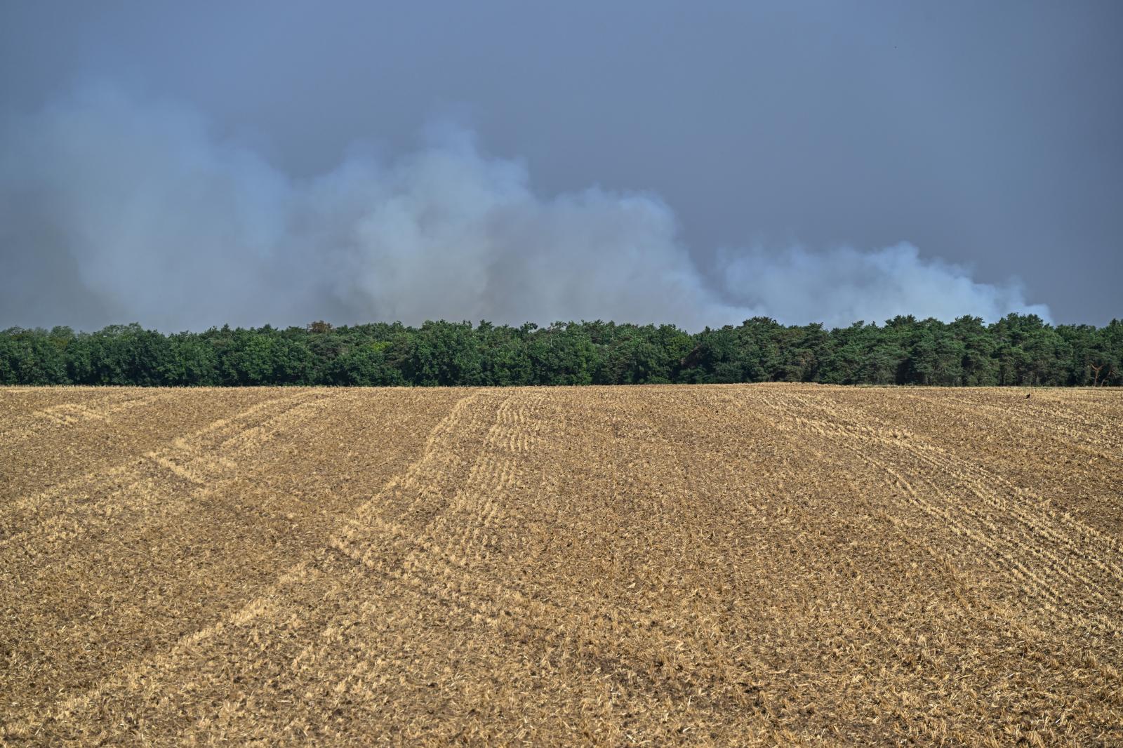 Wildfires Near Fontainebleau Burn Over 800 Hectares, Evacuate 15 Homes