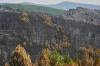 View of the burned area in Muriel, Guadalajara province, Spain, Wednesday, July 22, 2026, after a wildfire scorched tens of thousands of hectares in one of Spain's largest wildfires in recent years. (AP Photo/Manu Fernandez)