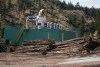 Logs are seen stacked at the Gorman Brothers Lumber sawmill, in West Kelowna, B.C., on Tuesday, Aug. 5, 2025. THE CANADIAN PRESS/Darryl Dyck