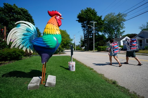 Beach-goers pass by a large tin rooster set up outside a motel in solidarity with a young girl with autism in Ogunquit, Maine, Wednesday, July 22, 2026. (AP Photo/Robert F. Bukaty)