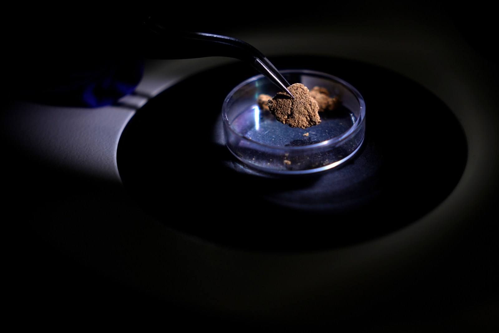 winnipegfreepress.com - Gabriela Sá Pessoa, The Associated Press - Brazil uses forensic science to trace gold's origin and tackle illegal mining in the Amazon