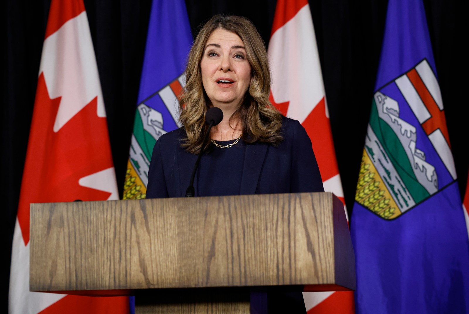 Alberta to begin allowing out-of-pocket payments for medical testing as of Friday