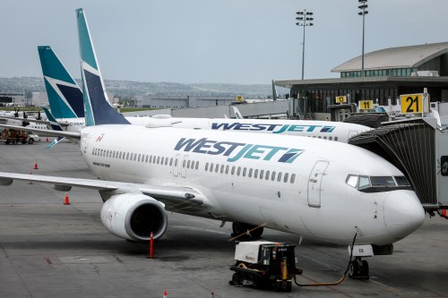 WestJet passenger jets parked at departure gates at the Calgary International Airport on Wednesday, May 31, 2023. THE CANADIAN PRESS/Jeff McIntosh
