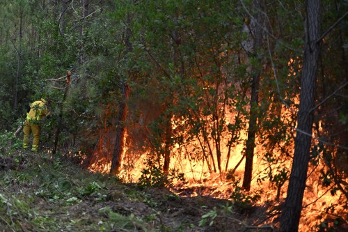 A firefighter creates a controlled burn area to contain a fire near Lege-Cap-Ferret, during wildfires in southwestern France, Thursday, July 30, 2026. (AP Photo/Emma Da Silva)