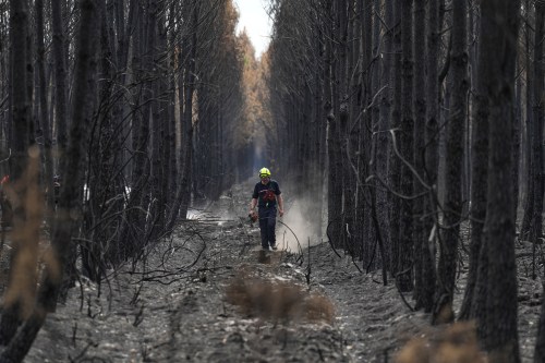 A firefighter walks through a charred forest near Blagon, during wildfires, southwestern France, Friday, July 31, 2026. (AP Photo/Baz Ratner)