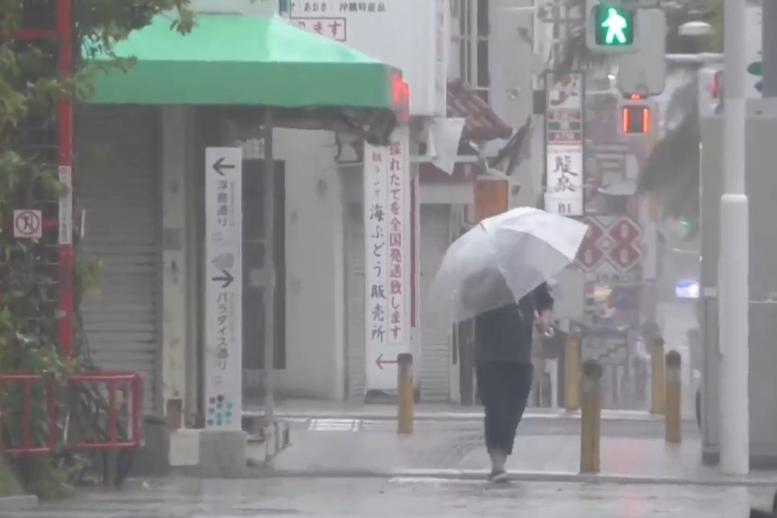 Airport closes in Okinawa as Typhoon Dolphin hits parts of southern Japan