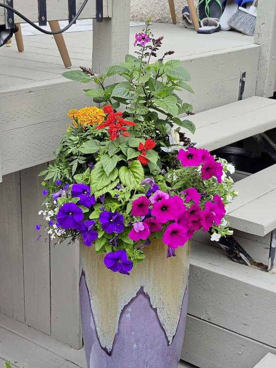 A stylish container arrangement from Lothar Behnke’s garden. (Colleen Zacharias photo)